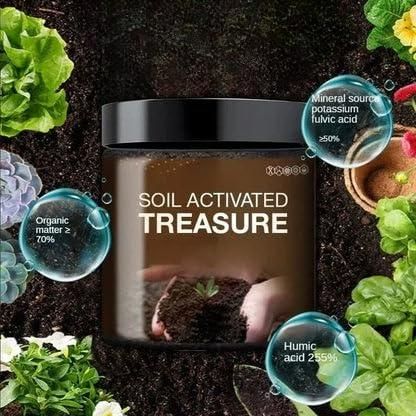 Treasure Premium Soil Activator 200gram (Pack of 2)